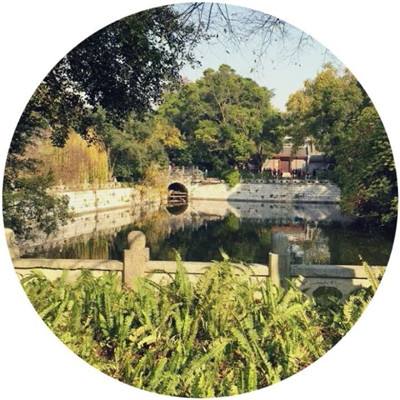 枪手丧尸幸存者联机版下载
